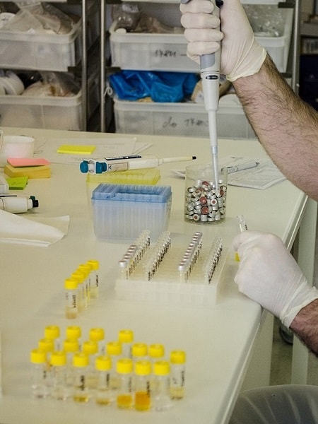Příprava vzorku na chemické rozbory potravin