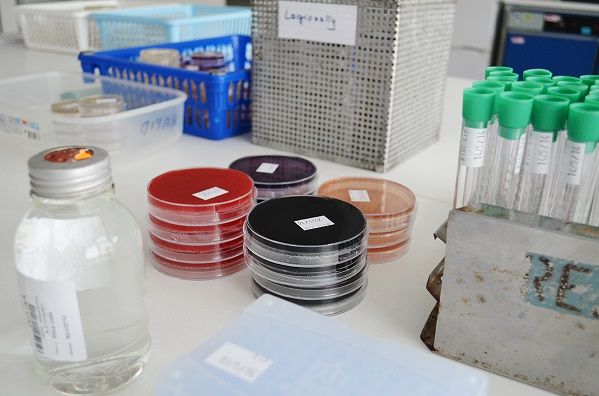 Petriho misky pro mikrobiologické rozbory potravin
