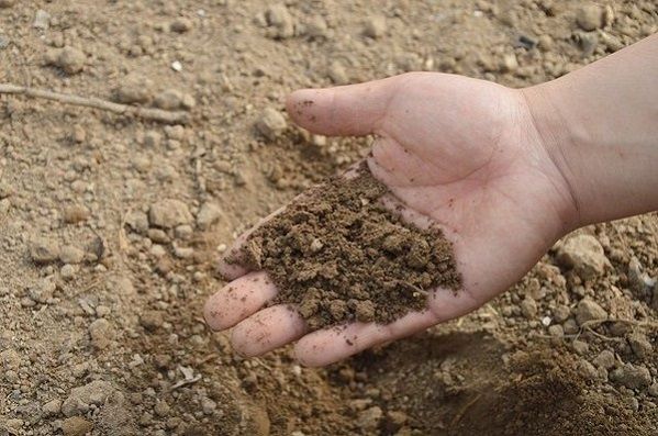 Sediment jako ukázka vzorku pro rozbor