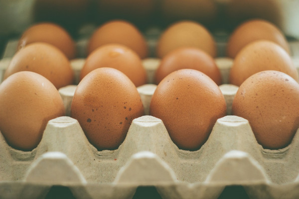 Vajíčka jako možný zdroj dioxinů